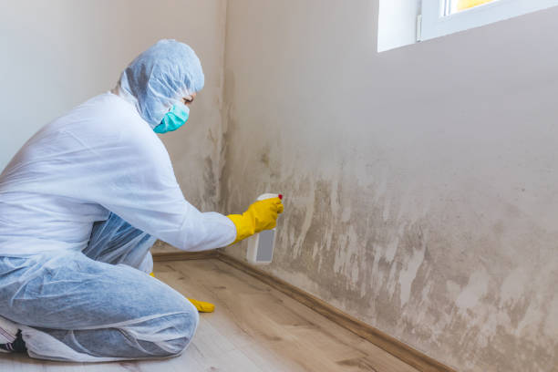 Licensed Mold Testing service in Concord, VA - WQB Mold Removal