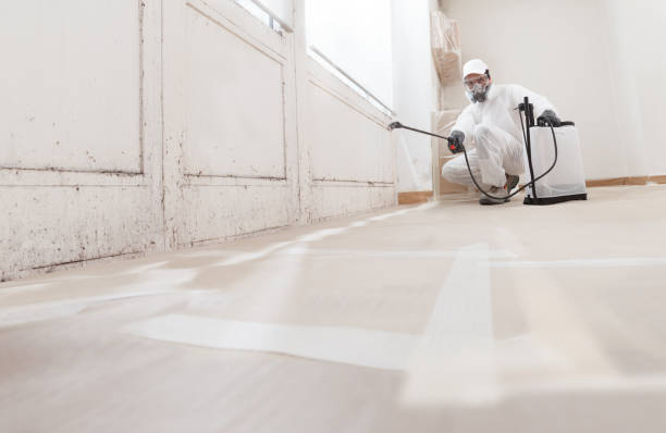 24/7 Emergency Mold Testing experts in Concord, VA