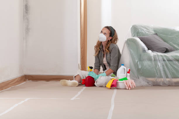 Reliable Mold Testing contractor in Concord, VA by WQB Mold Removal