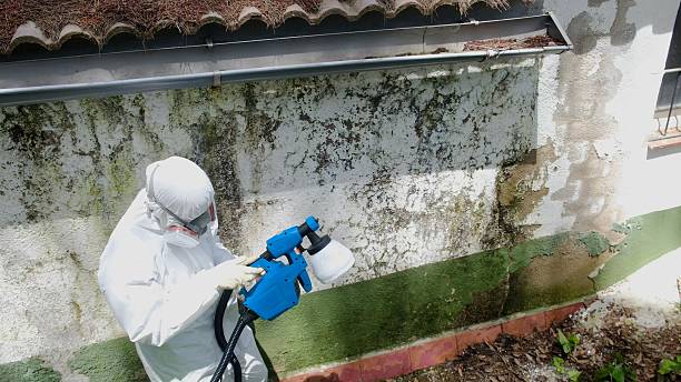 Top rated local Mold Testing specialists in Concord, VA